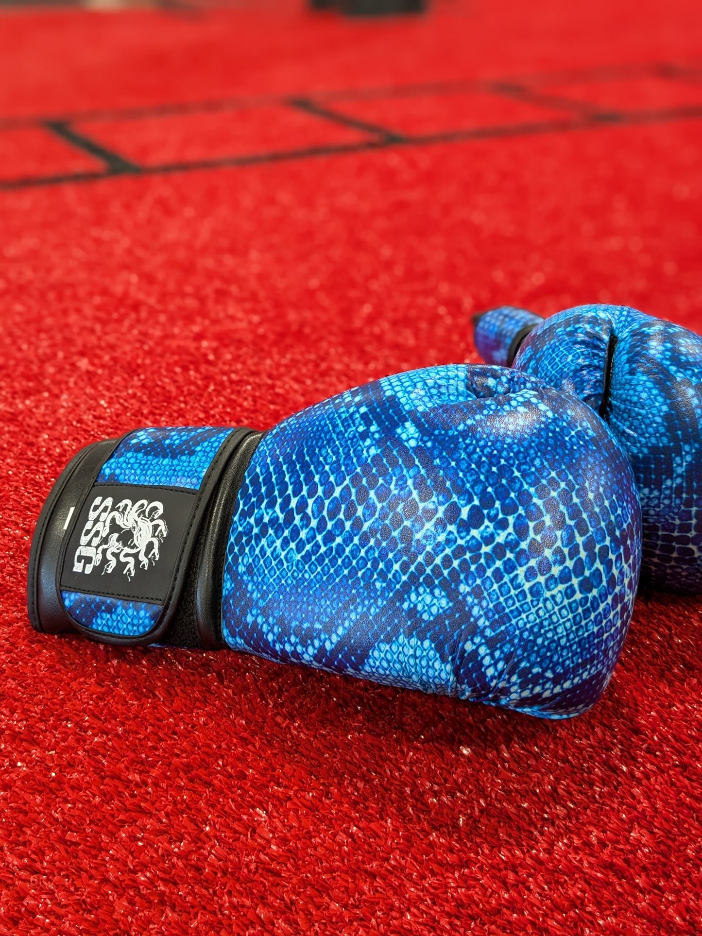 Lightweight boxing gloves
Durable boxing gloves
Comfortable boxing gloves
Premium boxing gloves
Leather boxing gloves
Snakeskin boxing gloves
Custom-designed boxing gloves